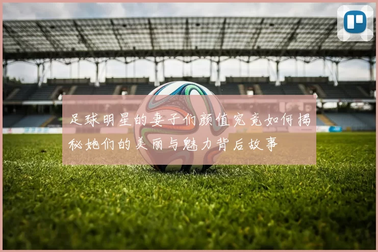 足球明星的妻子们颜值究竟如何揭秘她们的美丽与魅力背后故事