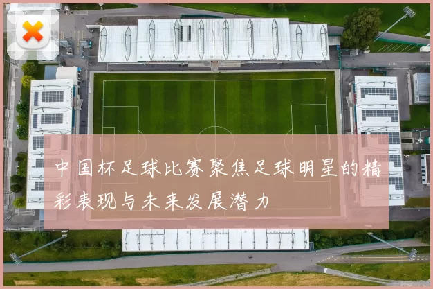 中国杯足球比赛聚焦足球明星的精彩表现与未来发展潜力